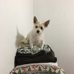 Meet your Posher, Delia